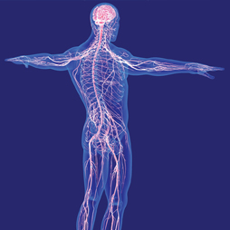 illustration of the human body, brain and sensors