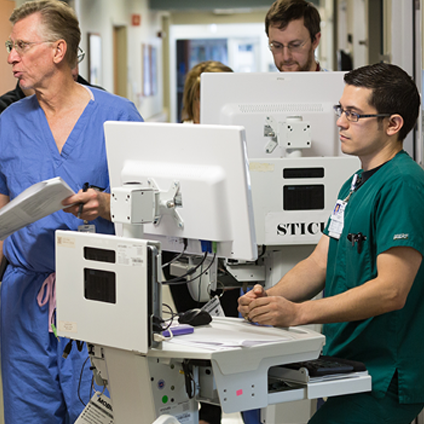 Interprofessional Team Dynamics