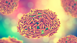 ASHP Monkeypox Resources