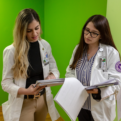 Program Roles and Expectations